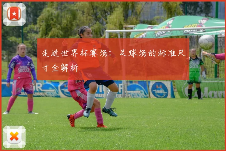 走进世界杯赛场:足球场的标准尺寸全解析