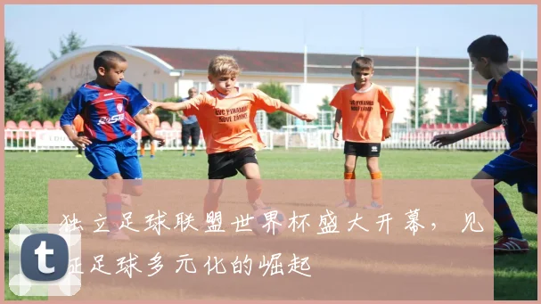 独立足球联盟世界杯盛大开幕,见证足球多元化的崛起
