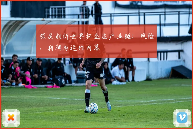 深度剖析世界杯坐庄产业链:风险、利润与运作内幕