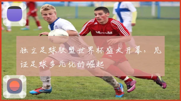 独立足球联盟世界杯盛大开幕,见证足球多元化的崛起