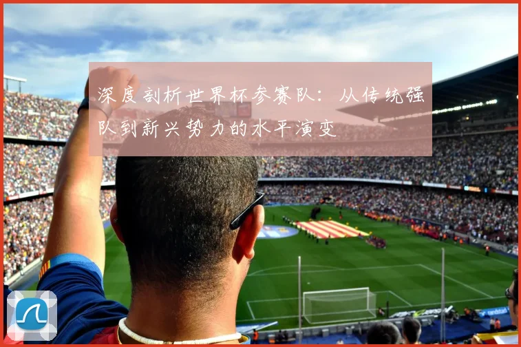 深度剖析世界杯参赛队：从传统强队到新兴势力的水平演变