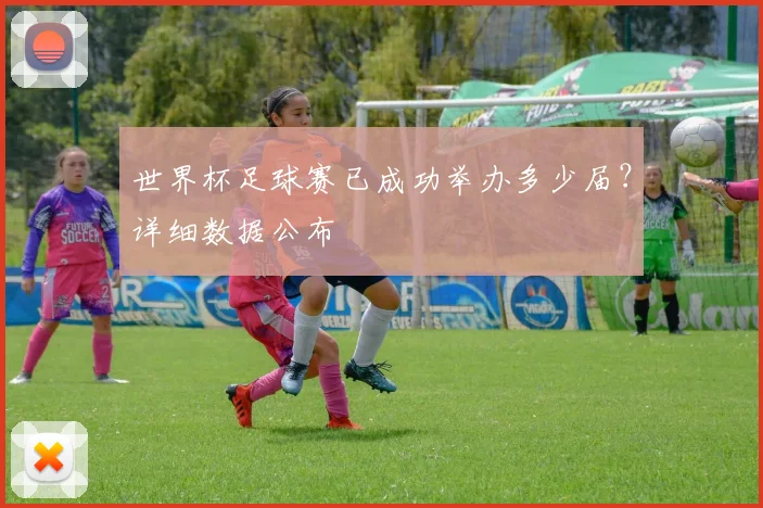 世界杯足球赛已成功举办多少届?详细数据公布