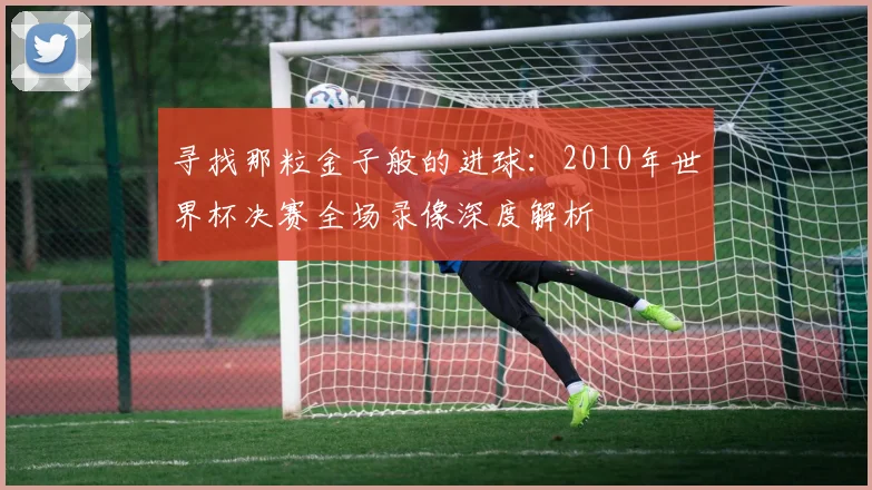 寻找那粒金子般的进球：2010年世界杯决赛全场录像深度解析