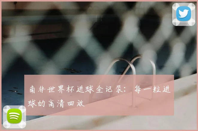 南非世界杯进球全记录:每一粒进球的高清回放
