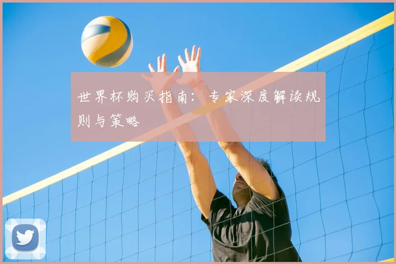 世界杯购买指南:专家深度解读规则与策略